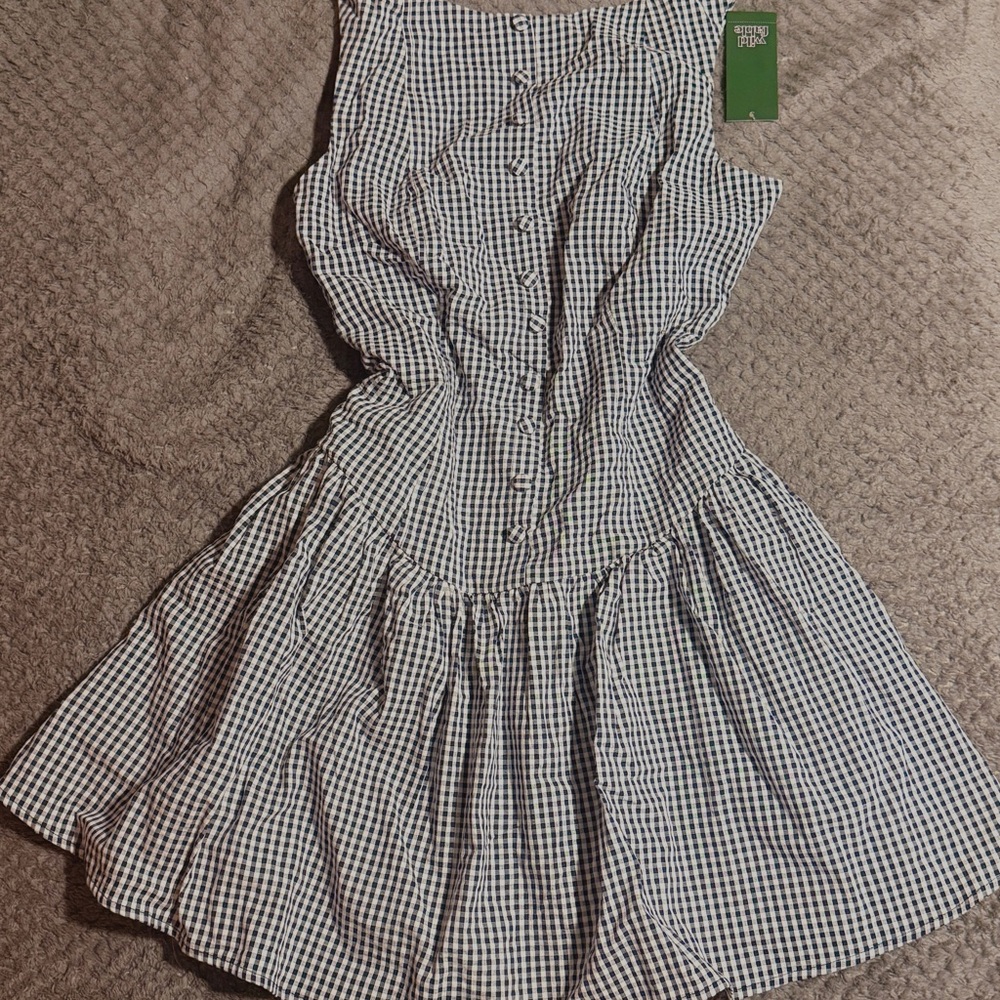 Wild Fable Navy and White Dress